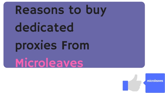 Reasons to buy dedicated proxies From Microleaves