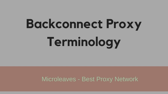 backconnect proxy
